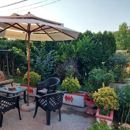 Green Oasis Apartment Kotor Ngoại thất bức ảnh