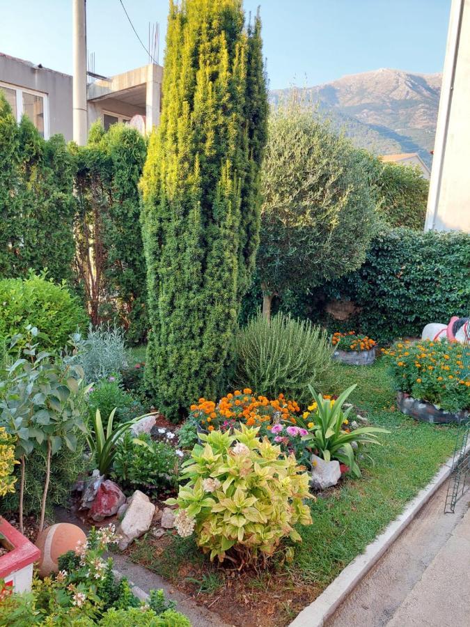 Green Oasis Apartment Kotor Ngoại thất bức ảnh